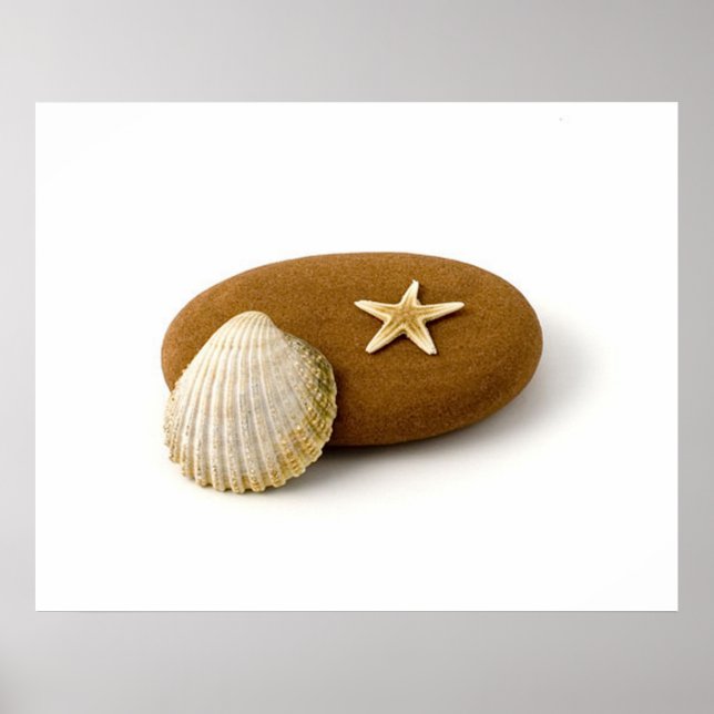 Affiches Zen Nature Sea Shell Poisson étoile Pebble (Devant)