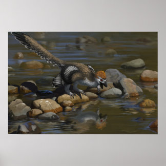 Affiches Zhenyuanlong