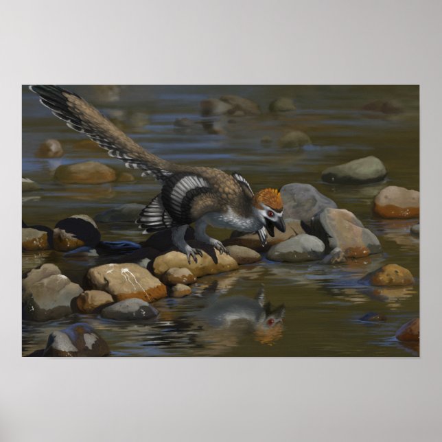 Affiches Zhenyuanlong (Devant)