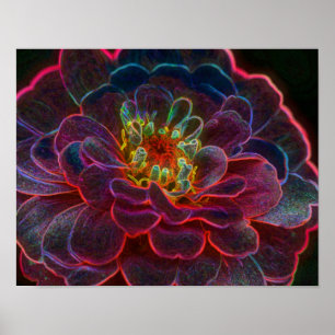 Affiches Zinnia Imaginaire Abstrait