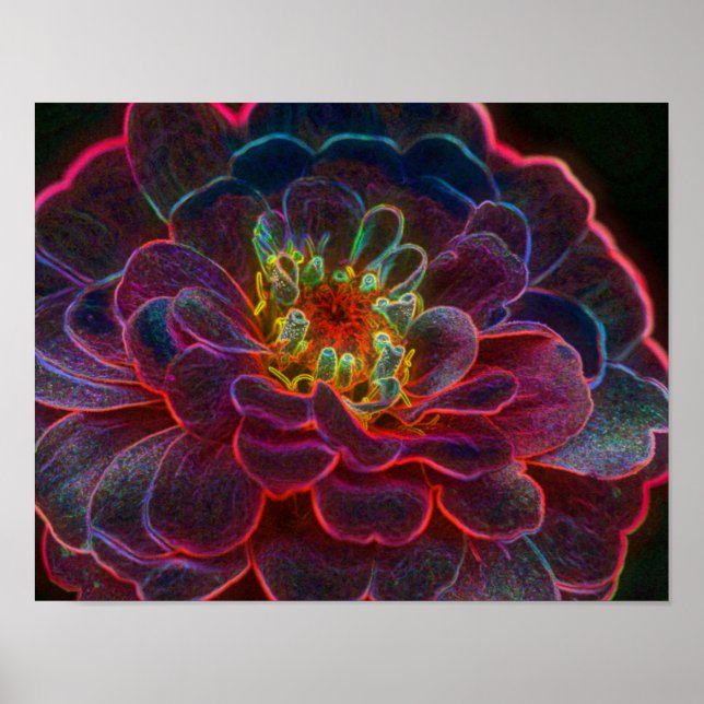 Affiches Zinnia Imaginaire Abstrait (Devant)