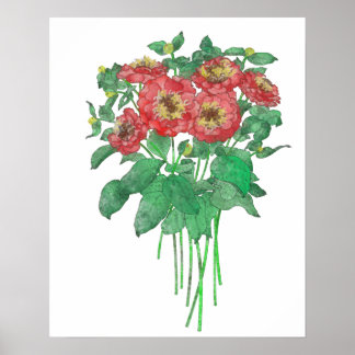 Affiches Zinnias