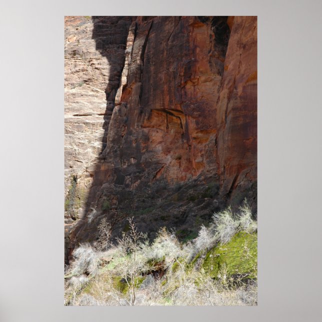 Affiches Zion Canyon (Devant)