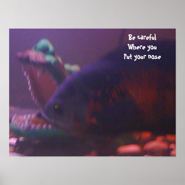 Affiches Zone de danger (Devant)