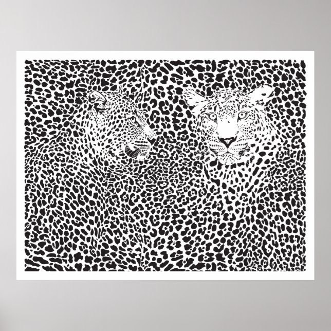 Affiches Zones noires Leopards Camouflés (Devant)