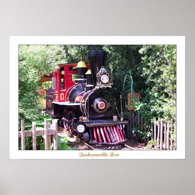 Affiches Zoo de Jacksonville (Devant)