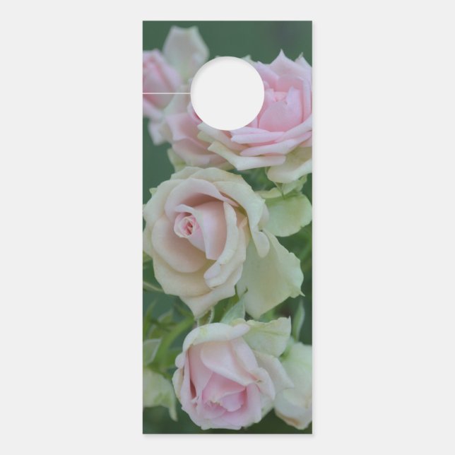 Affichette De Porte Beau jardin rose clair roses (Devant)