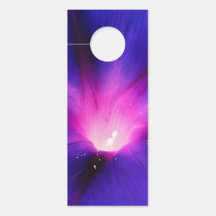 Fleurs bleu-violet