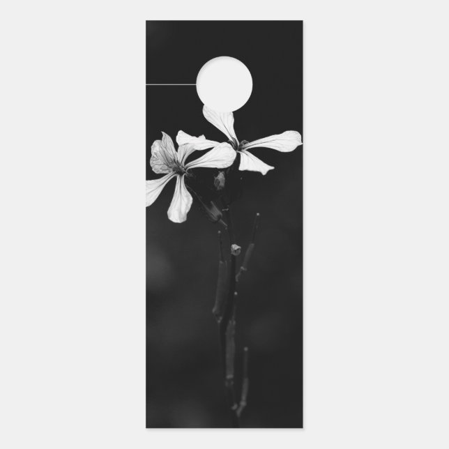 Affichette De Porte floral noir et blanc minimal (Devant)