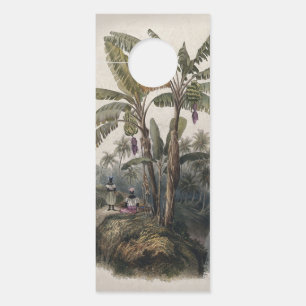 Affichette De Porte Forêt de bananiers tropicaux antiques Bota vinta