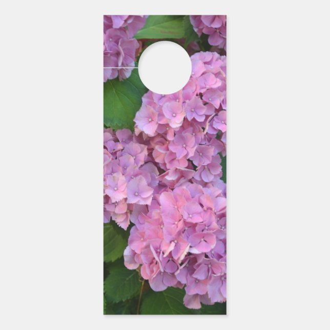Affichette De Porte Pastel rose Hortensia hydrangea fleurs (Devant)