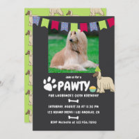 Afghan Hound Dog Invitation photo d'anniversaire