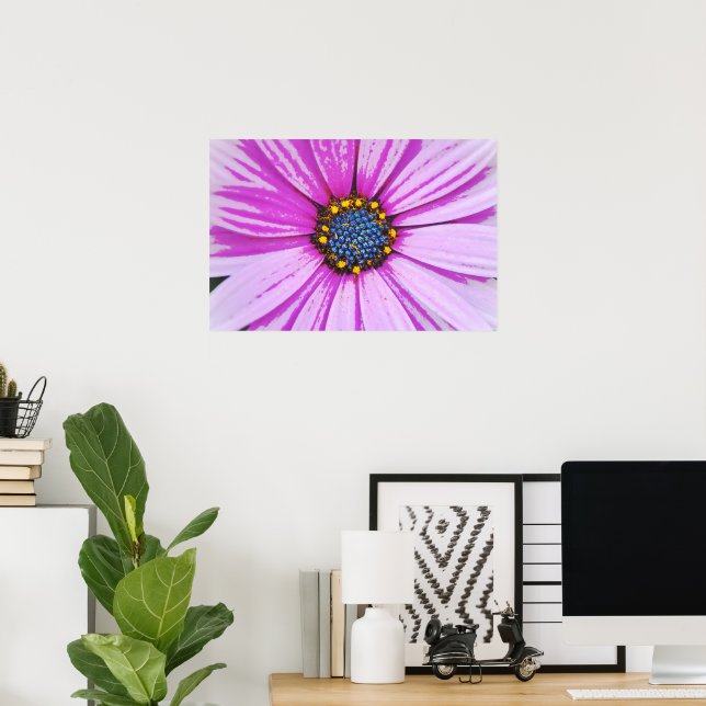 African Daisy Close Up Poster Art (Bureau à domicile)