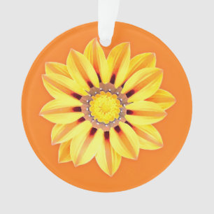 African Daisy / Gazania - Orange et Jaune