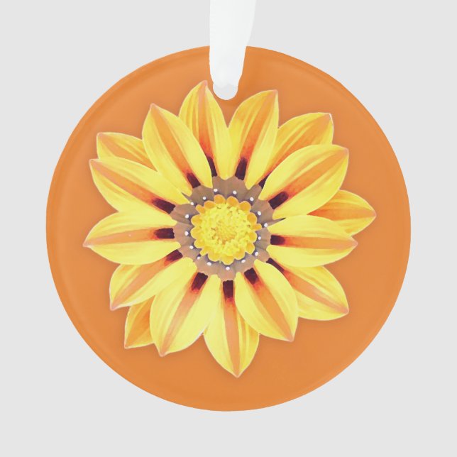 African Daisy / Gazania - Orange et Jaune (devant)