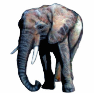 African Elephant 3D Photo Sculpture Cadeau