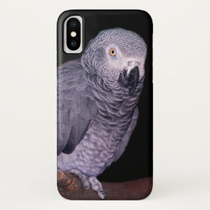 African Grey Parrot iPhone X Coque