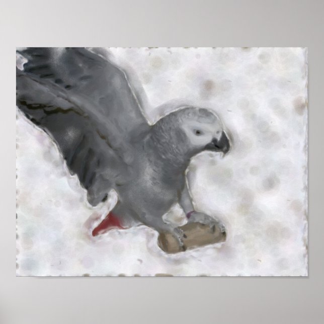 African Grey Parrot Photo Painting Poster (Devant)