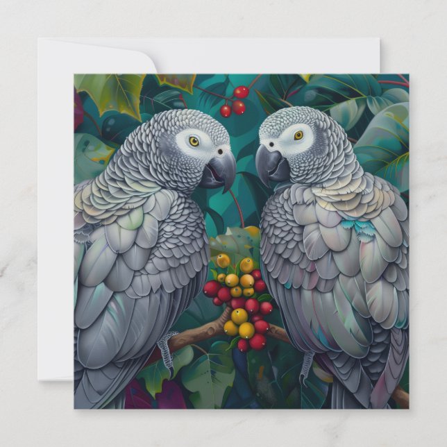 African Grey Persimmon-Berry Duet (Devant)