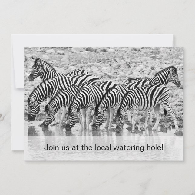 African Safari Zebra Drôle Anniversaire Invitation (Devant)