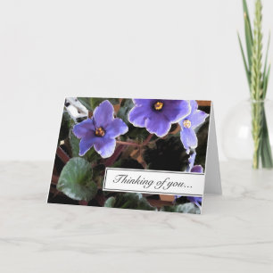 African Violet Penser à vous Carte de voeux