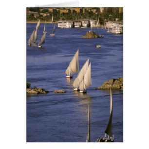 Afrique, Égypte, Haute-Égypte, Assouan. Feluques