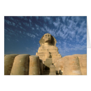 Afrique, Égypte, Le Caire, plateau de Gizeh. Sphin