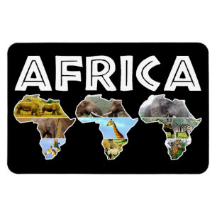Afrique Faune Continent Trio Collage Magnet