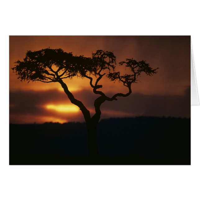 Afrique, Kenya, Réserve de Masai Mara, Cadre (Devant horizontal)