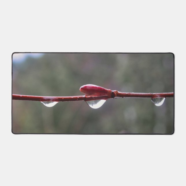 After the Rain (Recto)