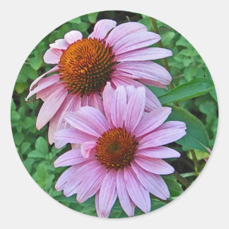 AG - Stickers Conflower