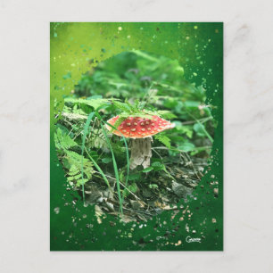 Agaric Voler - Carte postale
