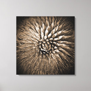 Agave Spikes Impression Sépia sur Toile 22" x 22"