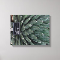Agave Victoria Plante photo toile enveloppée Impri