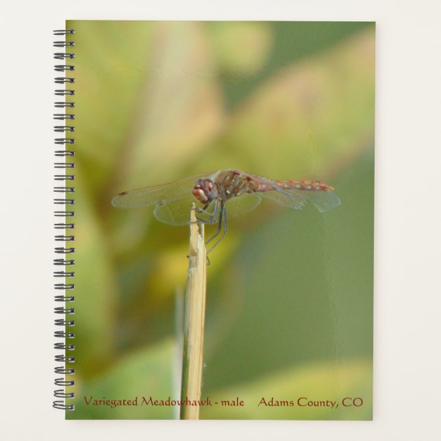 Agenda à reliure spirale avec photo de libellule (Devant)