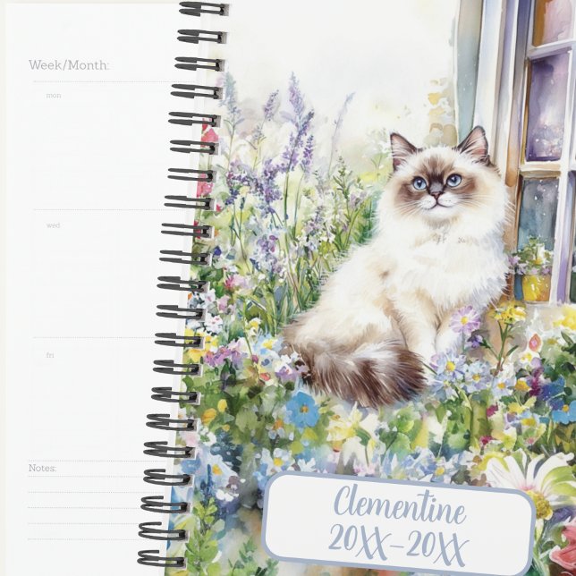 Agenda non daté de rendez-vous pour chat Ragdoll (Créateur téléchargé)