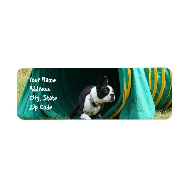 Agilité Boston Terrier Étiquettes de adresse (Devant)