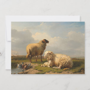 Agneau à mouton et canards   Eugène Joseph Verboec