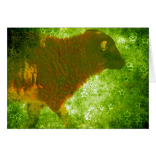 Agneau dans un champ d'étoiles