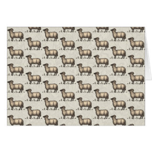 Agneau de mouton Vintage animal de ferme