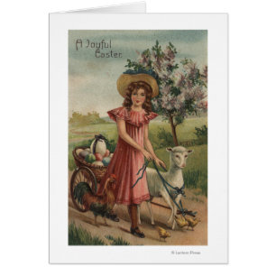 Agneau, poussin, et coq de marche de fille