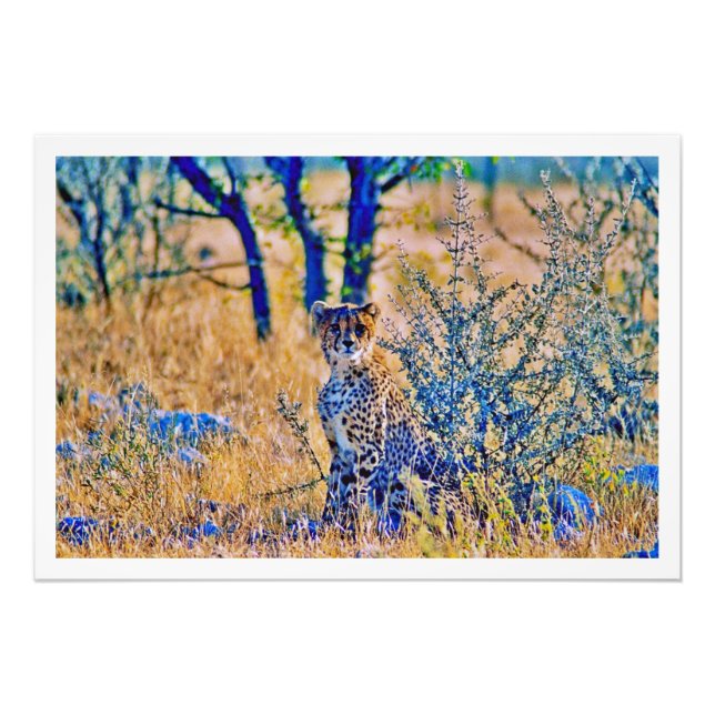 Agrandissement de photo (Devant)