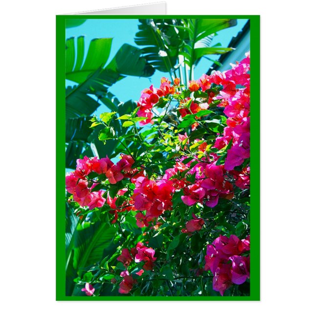 Ahh… la Floride (Devant)