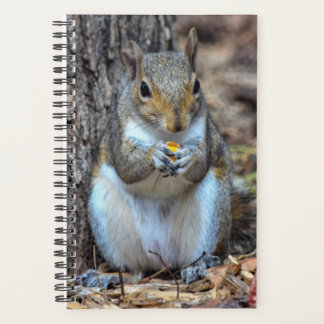 Ahhh... C'est le dîner