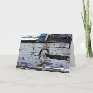 Ahoy Matey Bonne carte de Fête des pères