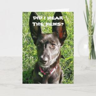 AI-JE "ENTENDU" VOUS ÊTES "21" CARTE D'ANNIVERSAIR