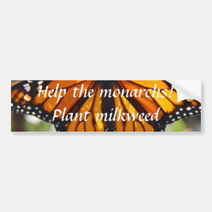 Aide monarques, plante milkweed - Bumper sticker