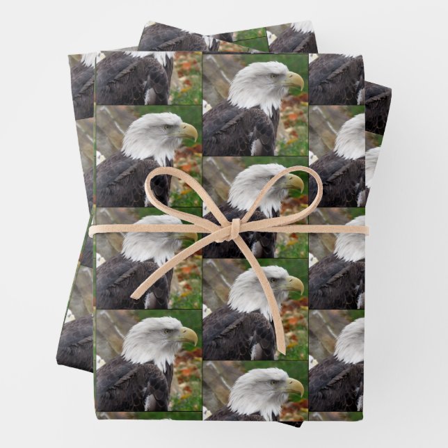 Aigle à balles - Feuilles de papier à envelopper (En situation)