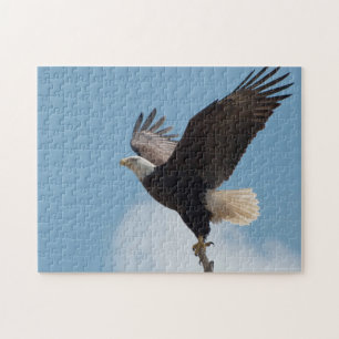 Aigle Bald Lifting Off - Puzzle