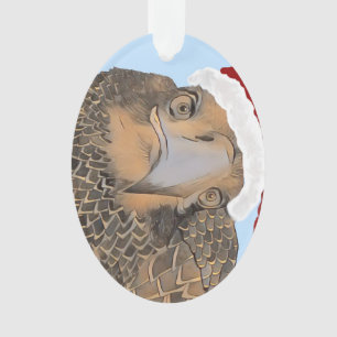 Aigle Bald SWFL Qui Est Ce Beau Aigle, E9